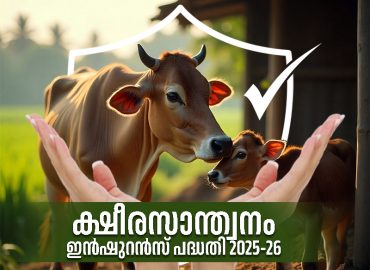 Ksheerasanthwanam Insurance Scheme 2025-26